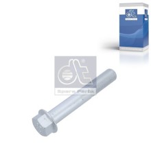 Screw DIESEL TECHNIC 3.89654 OE Ref 06028135024