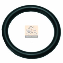 Charger Seal Ring DIESEL TECHNIC 4.20448 OE Ref 0249971648