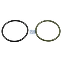 Differential Shaft Seal DIESEL TECHNIC 4.20817 OE Ref 0289975648