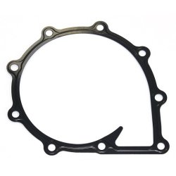 Water Pump Gasket ELRING 021.250 OE Ref 201V069010192