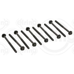 Cylinder Head Bolt Set ELRING 257.910 OE Ref 7173937410X