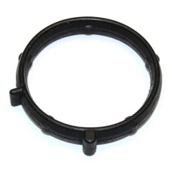 Intake Manifold Housing Gasket ELRING 375.240 OE Ref 46548459