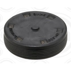 Camshaft Seal Cap ELRING 391.020 OE Ref 65044080000