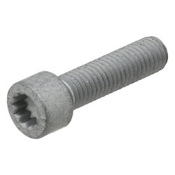 Screw ELRING 434.400 OE Ref N91137701