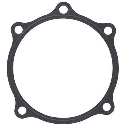 Oil Seal (mt) ELRING 481.380 OE Ref 7401521564