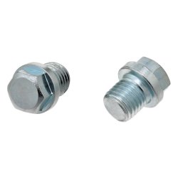Oil Sump Screw Plug ELRING 587.830 OE Ref 0029973430