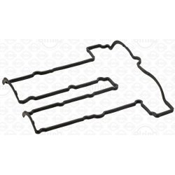 Cylinder Head Cover Gasket ELRING 696.080 OE Ref 1799829
