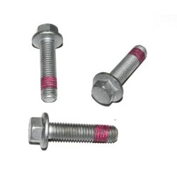 Screw ELRING 729.621 OE Ref 1710240