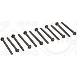 Cylinder Head Bolt Set ELRING 751.970 OE Ref 5556681112X