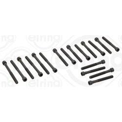 Cylinder Head Bolt Set ELRING 820.199 OE Ref 61599001124X