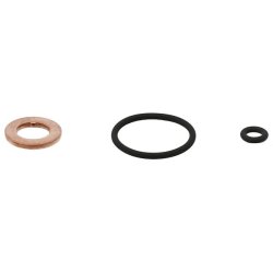 Injector Nozzle Seal Kit ELRING 883.700