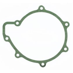 Water Pump Gasket ELRING 895.378 OE Ref 51069010009