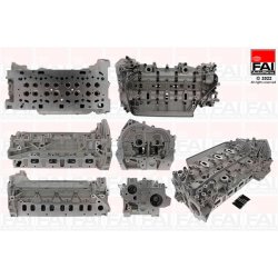 Cylinder Head FAI BCH249 OE Ref 6000616468