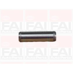 Valve Guide FAI BFG125