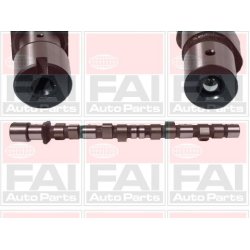 Camshaft FAI C175 OE Ref 11311709580