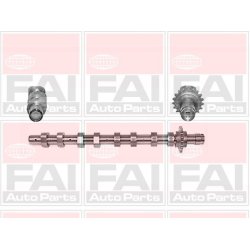 Camshaft FAI C266 OE Ref 0801Z9