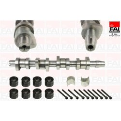 Camshaft Kit FAI CSK248C OE Ref 038109101R