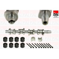 Camshaft Kit FAI CSK312 OE Ref 038109101AH