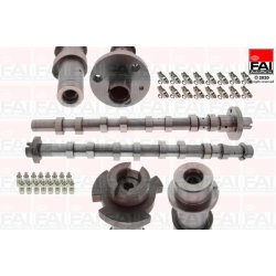 Camshaft Kit FAI CSK4156 OE Ref 6000616567
