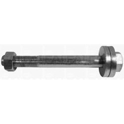 Control Arm Fastening Bolt FAI SS7169 OE Ref A0003300018