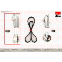 Timing Belt Kit FAI TBK168 OE Ref 038198119