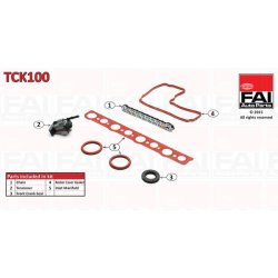 Timing Chain Kit FAI TCK100 OE Ref 9464474289