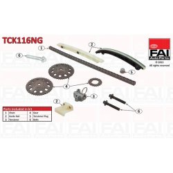 Timing Chain Kit FAI TCK116NG OE Ref 5636360