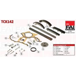 Timing Chain Kit FAI TCK142 OE Ref 5636353
