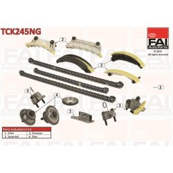 Timing Chain Kit FAI TCK245NG OE Ref 12633451