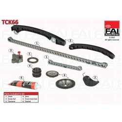 Timing Chain Kit FAI TCK66 OE Ref 13028ED000