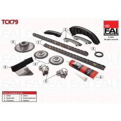 Timing Chain Kit FAI TCK79 OE Ref 243512A000