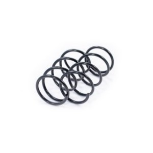 Front Coil Spring Kit FEBEST 0408-001F-KIT OE Ref 4040A191