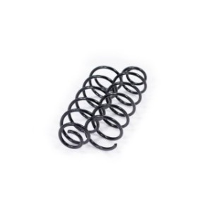 Rear Coil Spring Kit FEBEST 1808-002R-KIT OE Ref 312800