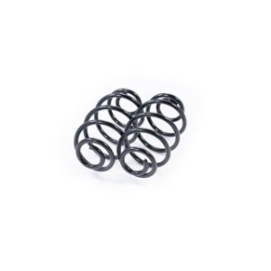 Rear Coil Spring Kit FEBEST 1808-005R-KIT OE Ref 13 115 541