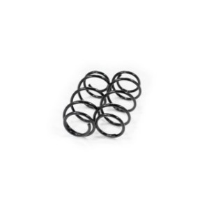 Front Coil Spring Kit FEBEST 1808-015F-KIT OE Ref 312838