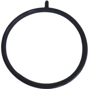 Throttle Body O-Ring FEBEST 18400-001 OE Ref 55566665