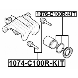 1876-c100r-kit-3.jpg
