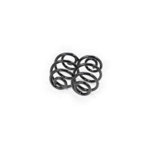 Rear Coil Spring Kit FEBEST 1908-004R-KIT OE Ref 1 095 735