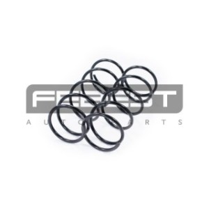 Kit de ressorts hélicoïdaux avant FEBEST 2108-008F-KIT pour FORD FOCUS FEBEST