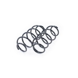 Front Coil Spring Kit FEBEST 2108-010F-KIT OE Ref 1127028