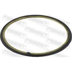 Shaft Seal (mt) FEBEST 21430-002 OE Ref 7T4Z7275A