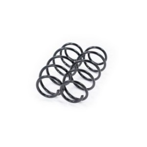 Front Coil Spring Kit FEBEST 2308-008F-KIT OE Ref 1K0411105AP