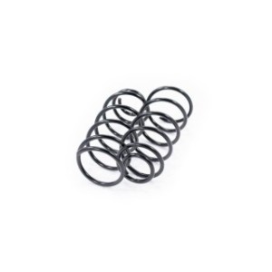 Front Coil Spring Kit FEBEST 2308-014F-KIT OE Ref 1J0411105AS