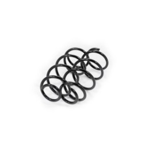 Front Coil Spring Kit FEBEST 2408-007F-KIT OE Ref 8200304229
