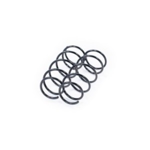Front Coil Spring Kit FEBEST 2408-008F-KIT OE Ref 7700432197