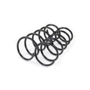 Front Coil Spring Kit FEBEST 2408-011F-KIT OE Ref 7700549951