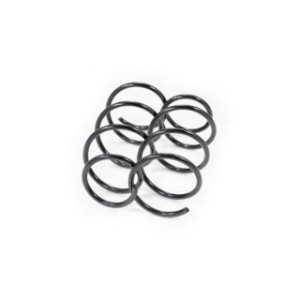Front Coil Spring Kit FEBEST 2408-014F-KIT OE Ref 7700434156