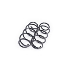 Front Coil Spring Kit FEBEST 2508-002F-KIT OE Ref 5002CF