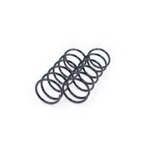 Front Coil Spring Kit FEBEST 2508-006F-KIT OE Ref 500235