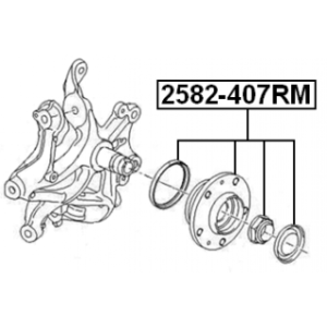 Moyeu de roue arrière FEBEST 2582-407RM pour PEUGEOT, CITROËN 3748.87 FEBEST